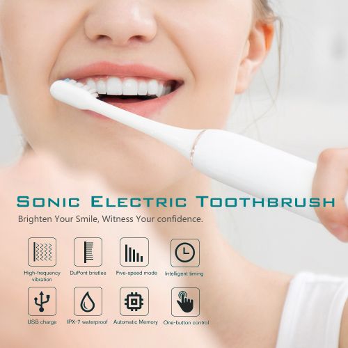 BRUSH ELECTRIC 2